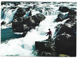 SALMON-FISHING IN THE RIVER.- LAXA I KJOS.-  ICELAND.- ( ISLANDIA ) - Islande