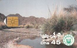 PHONE CARD EMIRATI ARABI (E73.36A.8 - Ver. Arab. Emirate