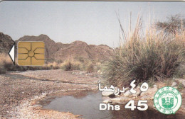 PHONE CARD EMIRATI ARABI (E73.35.7 - United Arab Emirates