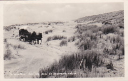 48789Terschelling, Een Ritje Door De Ongerepte Natuur.  - Terschelling