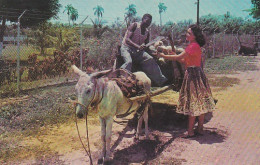 487825Jamaica, Coconut Wagon. (see Stamps )   - Giamaica