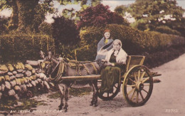 487850An Irish Donkey Car. - Andere & Zonder Classificatie