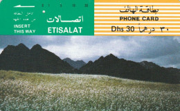 PHONE CARD EMIRATI ARABI (E74.29.7 - Emiratos Arábes Unidos