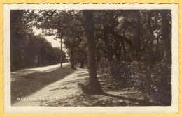 Estonia - Rakvere Tammik - Oak Tree - Estonie