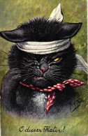 Katze Mit Kopfverband "O Dieser Kater", Sign. Arthur Thiele - Thiele, Arthur