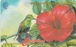 PHONE CARD BRITISH VIRGIN ISLANDS (E75.4.4 - Virgin Islands