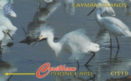 PHONE CARD CAYMAN ISLANDS (E75.2.7 - Islas Caimán