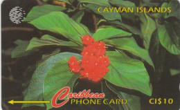 PHONE CARD CAYMAN ISLANDS (E75.2.8 - Kaaimaneilanden