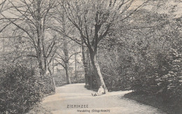 488841Zierikzee, Wandeling (Slingerbosch) (Poststempel 1908)  - Zierikzee