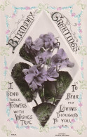 4888166Birthday Greetings, I Send These Flowers ….1911  - Anniversaire