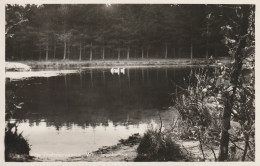 4905 29 Terschelling, Duinmeertje Dodenmanskisten. (Fotokaart)  - Terschelling