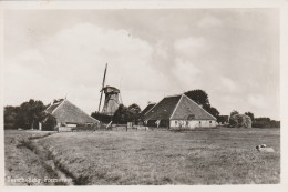 4905 36 Terschelling, Formerum. (Fotokaart)  - Terschelling