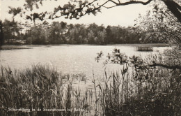 4905 66 Schurenberg, In De Staatsbossen Bij Beilen. (Fotokaart)  - Other & Unclassified