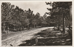 4905 149 Texel, Westerslag. (Fotokaart.)  - Texel