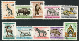 HUNGARY 1961  Budapest Zoo Set Used.  Michel 1727-36 - Used Stamps