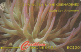 PHONE CARD ST. VINCENT (E78.43.1 - San Vicente Y Las Granadinas