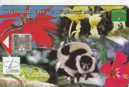 PHONE CARD MADAGASCAR (E78.39.1 - Madagaskar