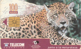 PHONE CARD ARGENTINA (E78.32.8 - Argentinien