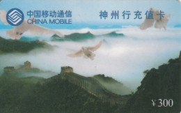 PREPAID PHONE CARD CINA (E79.53.7 - China