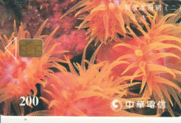 PHONE CARD TAIWAN CHIP (E79.9.7 - Taiwan (Formose)