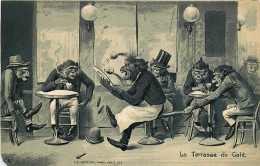 Carte Gaufrée , Singes , La Terrasse De Café , * 392 83 - Singes