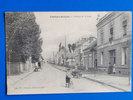 Chateau Du Loir , Avenue De La Gare , Attelage De Chien ? - Chateau Du Loir