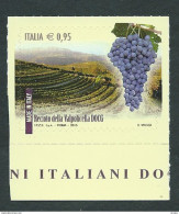Italia, Italy, Italie, Italien 2015; Uva Che Produce Il Vino DOCG " Recioto Della Valpolicella" , Di Bordo Inferiore. - Vins & Alcools