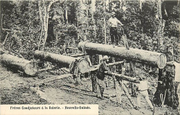 PAPOUASIE/Nouvelle Guinée , Freres Coadjuteurs A La Scierie ( Scieurs De Long ) , * 400 92 - Papua Nueva Guinea