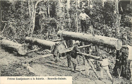 PAPOUASIE/Nouvelle Guinée , Freres Coadjuteurs A La Scierie ( Scieurs De Long ) , * 400 92 - Papouasie-Nouvelle-Guinée