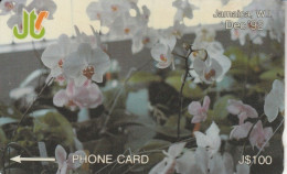 PHONE CARD GIAMAICA (E82.16.1 - Jamaica