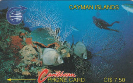 PHONE CARD CAYMAN ISLAND (E82.15.3 - Islas Caimán