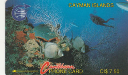 PHONE CARD CAYMAN ISLAND (E82.15.4 - Kaaimaneilanden