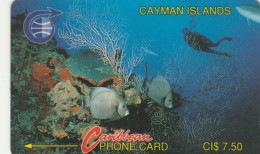 PHONE CARD CAYMAN ISLAND (E82.15.4 - Cayman Islands