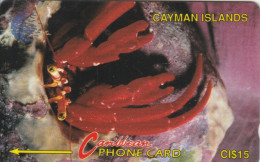 PHONE CARD CAYMAN ISLAND (E82.14.3 - Islas Caimán