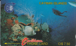 PHONE CARD CAYMAN ISLAND (E82.14.1 - Kaimaninseln (Cayman I.)