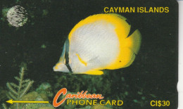 PHONE CARD CAYMAN ISLAND (E82.12.5 - Islas Caimán