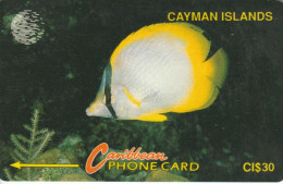 PHONE CARD CAYMAN ISLAND (E82.12.7 - Kaimaninseln (Cayman I.)