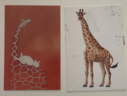 20 Cartes Postales Monde Thème Girafes - Giraffe