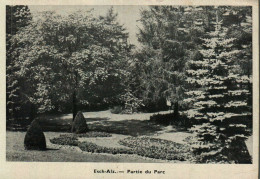 ESCH-SUR-ALZETTE - Partie Du Parc - Esch-sur-Alzette