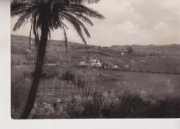 PIAZZA ARMERINA  ENNA  PANORAMA DELLA ZONA ARCHEOLOGICA  VG  1955 - Enna