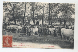 32 - RISCLE - Le Foirail Aux Bestiaux - Beau Plan De La Foire - - Riscle