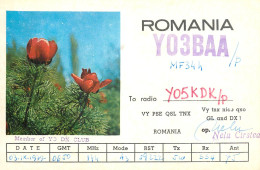 Romania Radio Amateur QSL Card Y05BAAY05KDK Nelu Cirstea - Radio Amateur