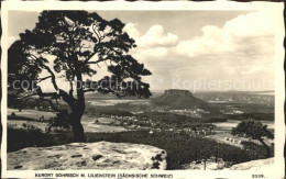 42244385 Gohrisch Panorama Hoehenluftkurort Mit Lilienstein Elbsandsteingebirge  - Gohrisch