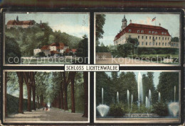 42244197 Lichtenwalde Sachsen Schloss Wasserspiele Baumallee Lichtenwalde - Niederwiesa