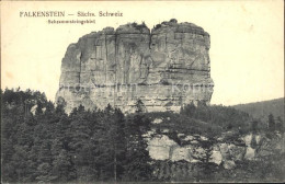 42242747 Falkenstein Vogtland Schramsteingebiet Falkenstein - Falkenstein (Vogtland)