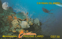 PHONE CARD CAYMAN ISLANDS (E84.22.1 - Isole Caiman