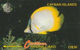 PHONE CARD CAYMAN ISLANDS (E84.21.1 - Cayman Islands