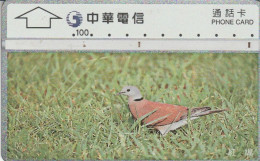 PHONE CARD TAIWAN (E84.16.2 - Taiwán (Formosa)