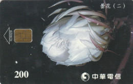 PHONE CARD CINA (E84.4.4 - China