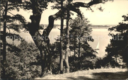 42240907 Goyatz Blick Auf Kleinen Schwielochsee Schwielochsee - Goyatz